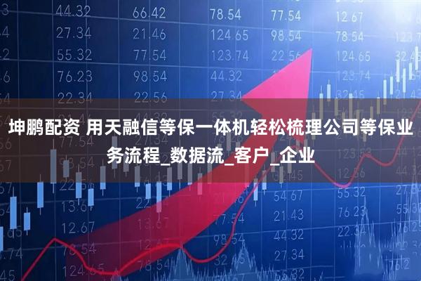坤鹏配资 用天融信等保一体机轻松梳理公司等保业务流程_数据流_客户_企业