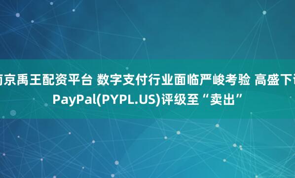 南京禹王配资平台 数字支付行业面临严峻考验 高盛下调PayPal(PYPL.US)评级至“卖出”