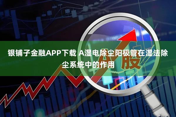 银铺子金融APP下载 A湿电除尘阳极管在湿法除尘系统中的作用