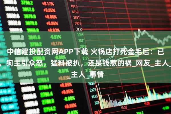 中信建投配资网APP下载 火锅店打死金毛后：已和解，狗主引众怒，猛料被扒，还是钱惹的祸_网友_主人_事情