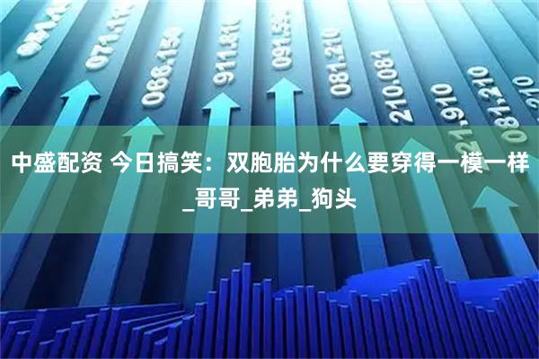 中盛配资 今日搞笑：双胞胎为什么要穿得一模一样_哥哥_弟弟_狗头