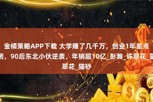 金橘策略APP下载 大学赚了几千万，创业1年差点倒闭，90后东北小伙逆袭，年销超10亿_彭瀚_许翠花_猫砂