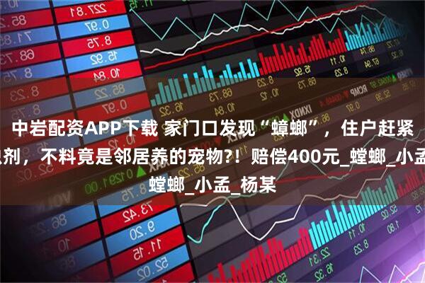 中岩配资APP下载 家门口发现“蟑螂”，住户赶紧喷杀虫剂，不料竟是邻居养的宠物?！赔偿400元_螳螂_小孟_杨某