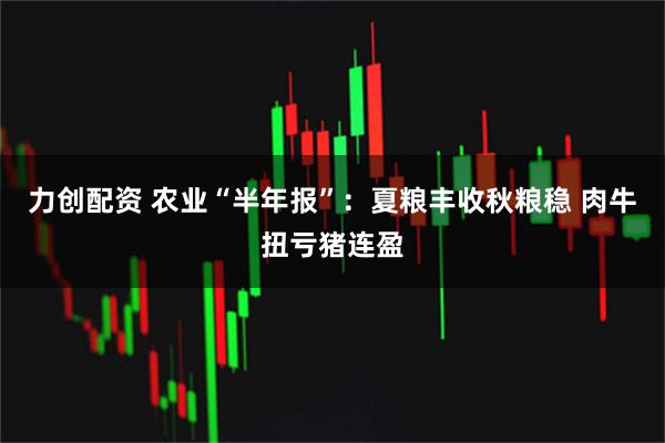 力创配资 农业“半年报”：夏粮丰收秋粮稳 肉牛扭亏猪连盈